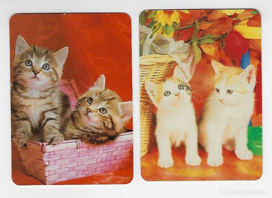Coleccionismo calendarios: 2 CALENDARIOS DE BOLSILLO A&Ntilde;O 2006 GATOS - FUEGOS ARTIFICALES PEIRO - VER FOTO REVERSOS