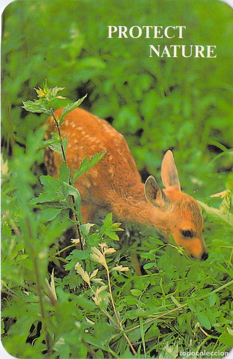 Coleccionismo calendarios: Calendario 1992 y Fauna Silvestre Aeroflot