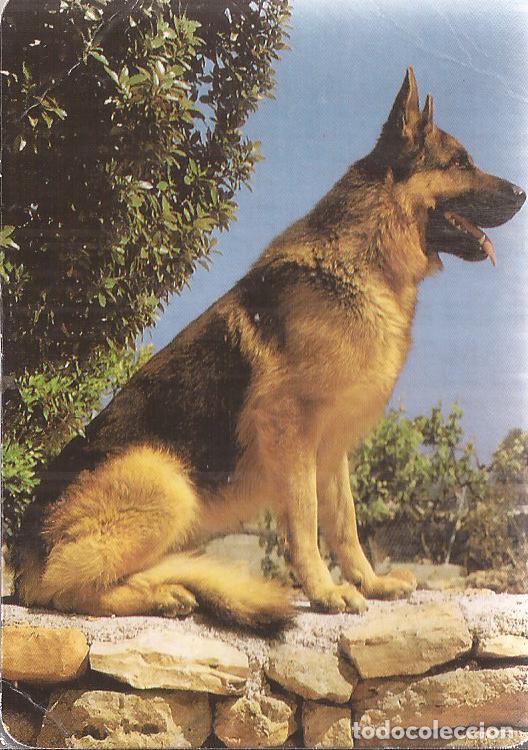 Collezionismo Calendari: CALENDARIO SERIE A&Ntilde;O 2002 SERIE B.O. 573