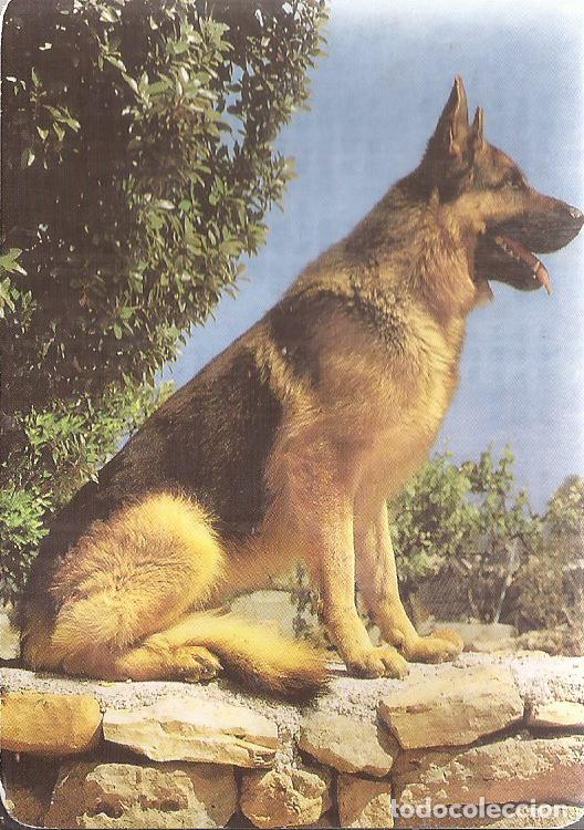 Collezionismo Calendari: CALENDARIO SERIE A&Ntilde;O 2002 SERIE B.O. 573