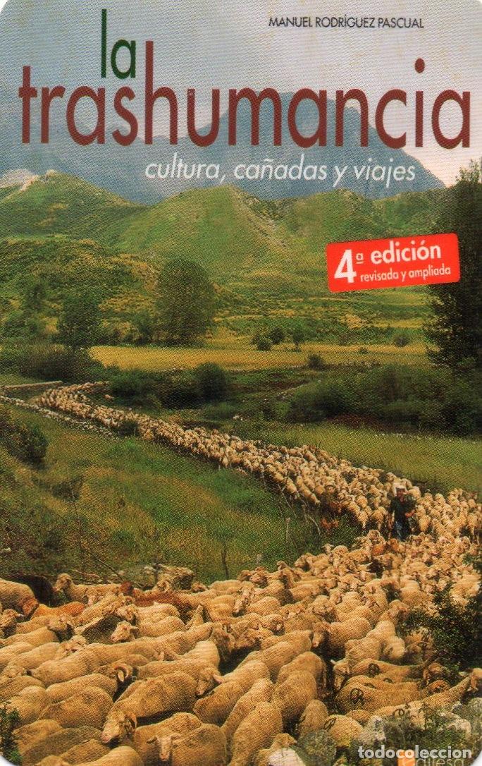 Coleccionismo calendarios: Calendario de Publicidad 2005 - EDILESA
