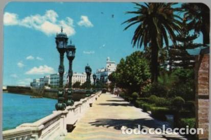 Coleccionismo calendarios: CALENDARIO ALAMEDA APODACA C&Aacute;DIZ A&Ntilde;O 1984 CAL-11215