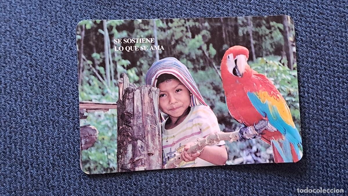 Coleccionismo calendarios: ANTIGUO CALENDARIO DE BOLSILLO RELIGIOSO SELVAS AMAZONICAS A&Ntilde;O 1996
