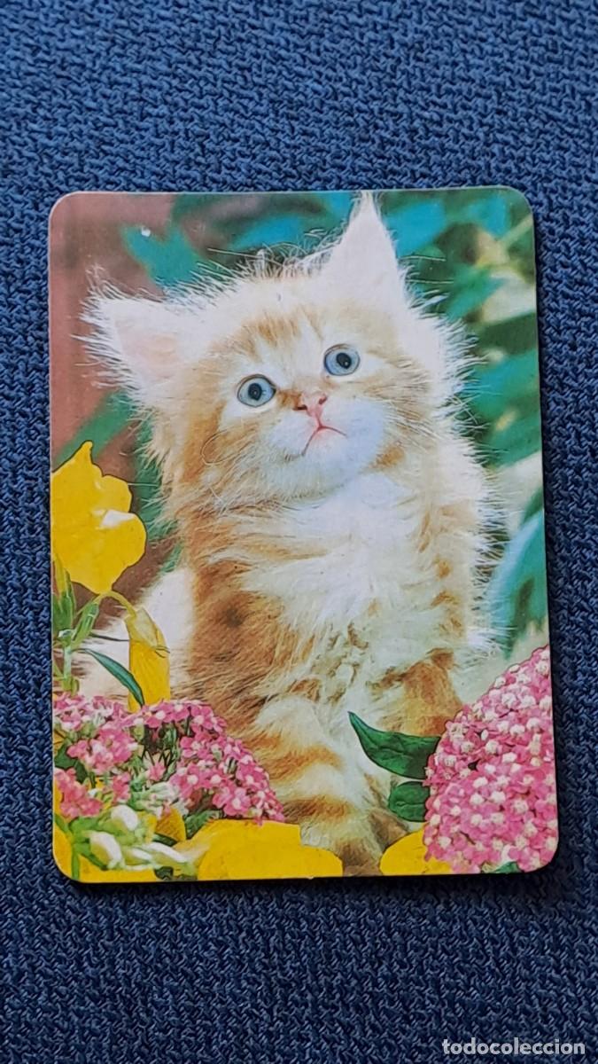 Collectionnisme Calendriers: ANTIGUO CALENDARIO DE BOLSILLO GATITO A&Ntilde;O 1995