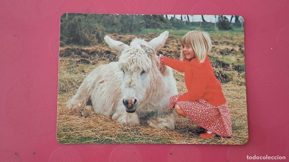 Coleccionismo calendarios: ANTIGUO CALENDARIO DE BOLSILLO NI&Ntilde;A CON BURRITO A&Ntilde;O 1997