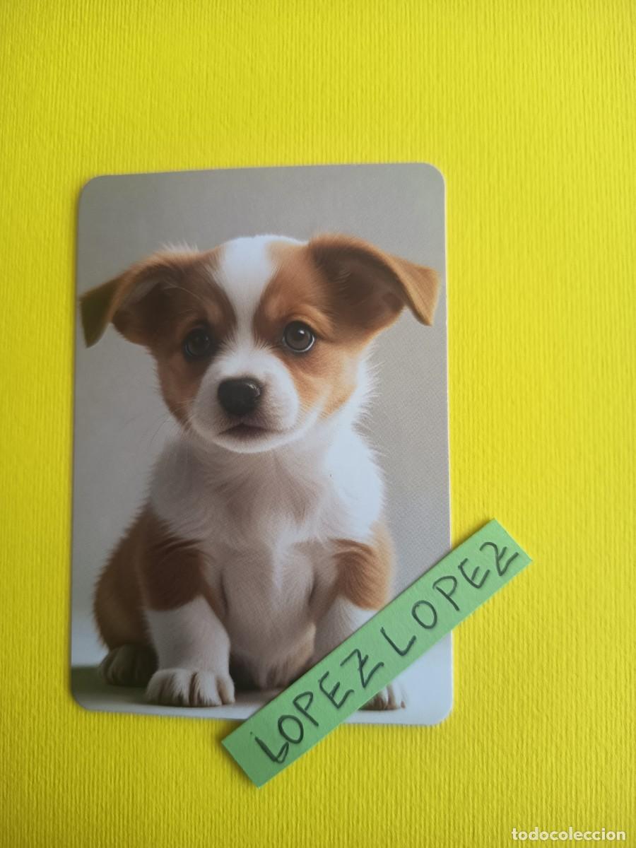 Coleccionismo calendarios: A&Ntilde;O 2027 - NO OFERTAS - PERROS Y GATOS - CALENDARIO SIN PUBLICIDAD DE SERIE A0120