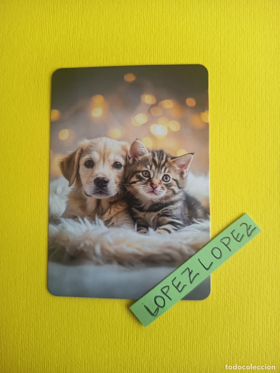 Coleccionismo calendarios: A&Ntilde;O 2027 - NO OFERTAS - PERROS Y GATOS - CALENDARIO SIN PUBLICIDAD DE SERIE A0118