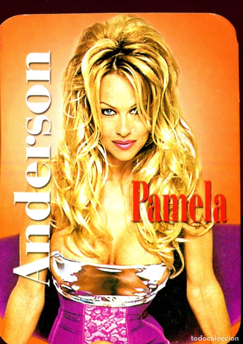 Coleccionismo calendarios: CALENDARIO EXTRANJERO A&Ntilde;O 2003 PAMELA ANDERSON CANTANTE. ACTRIZ