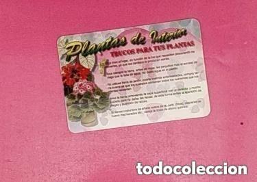 Coleccionismo calendarios: CALENDARIO 2008 - PLANTAS DE INTERIOR