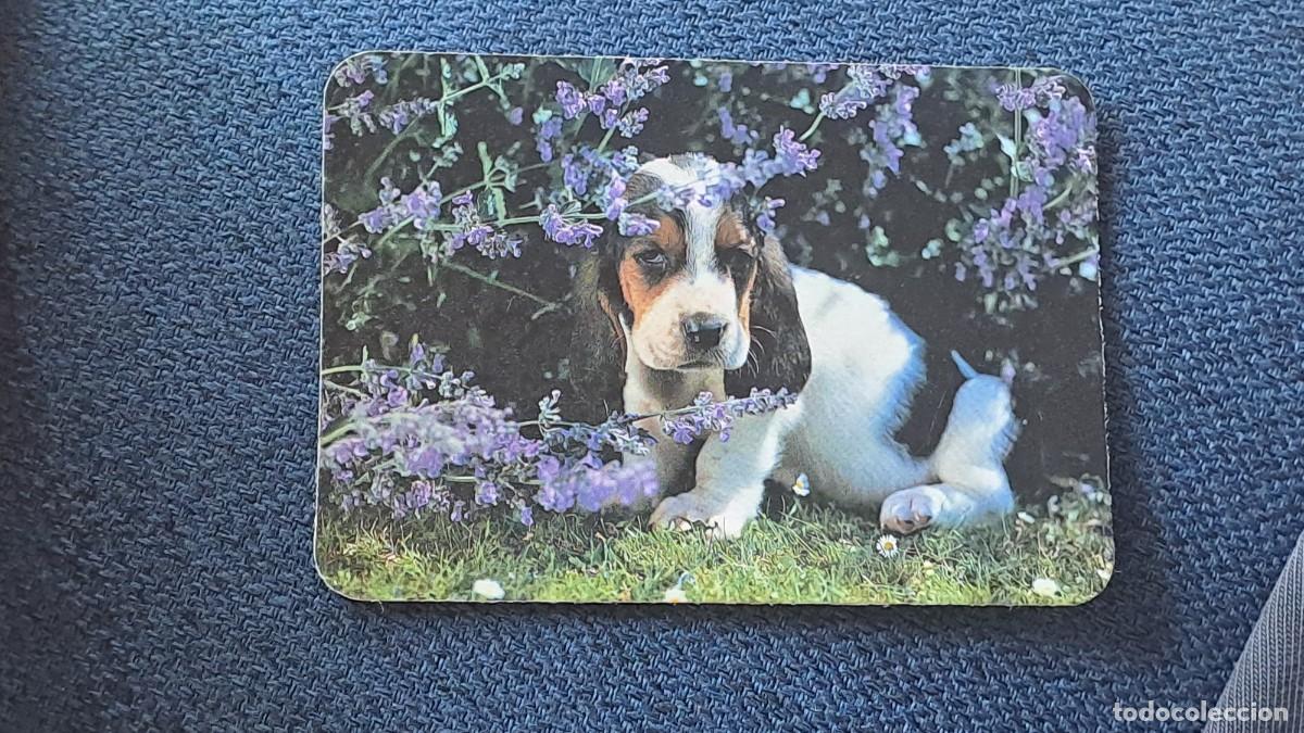 Coleccionismo calendarios: ANTIGUO CALENDARIO DE BOLSILLO CACHORRITO PERRITO A&Ntilde;O 1991