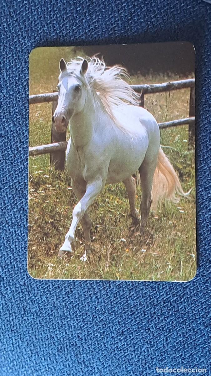 Coleccionismo calendarios: ANTIGUO CALENDARIO DE BOLSILLO CABALLO A&Ntilde;O 1998