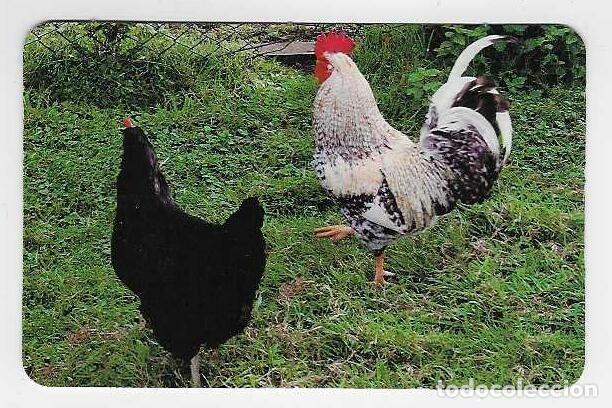 Coleccionismo calendarios: CALENDARIO BOLSILLO A&Ntilde;O 2010 FAUNA/ ANIMALES - GALLO Y GALLINA - GR&Aacute;FICAS - GIJ&Oacute;N - VER FOTO REVERSO