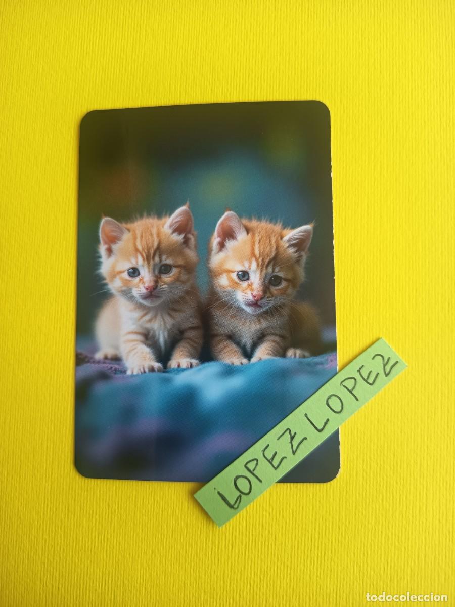 Coleccionismo calendarios: A&Ntilde;O 2027 - NO OFERTAS - GATOS - CALENDARIO SIN PUBLICIDAD DE SERIE A0119