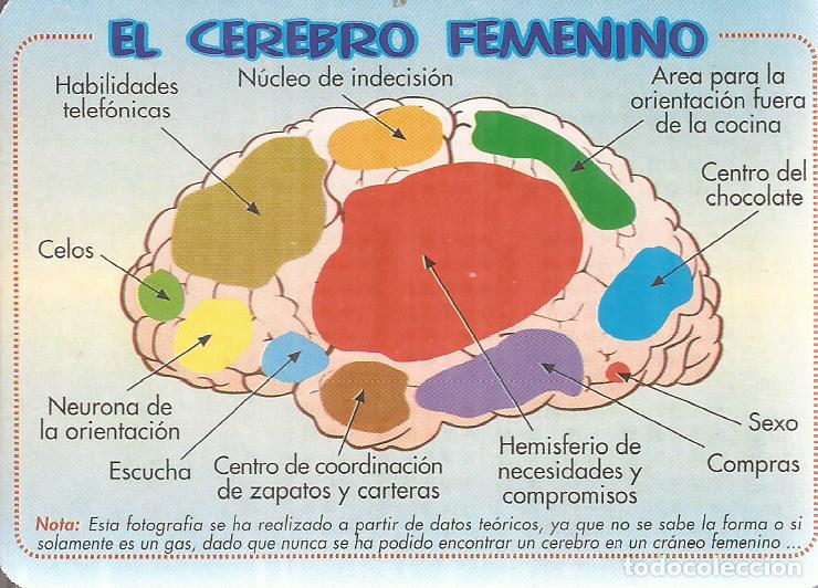 Coleccionismo calendarios: CALENDARIO SERIE A&Ntilde;O 2000 SERIE B.O. 629