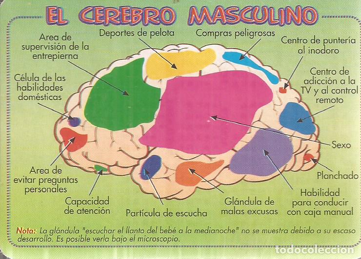 Coleccionismo calendarios: CALENDARIO SERIE A&Ntilde;O 2000 SERIE B.O. 630