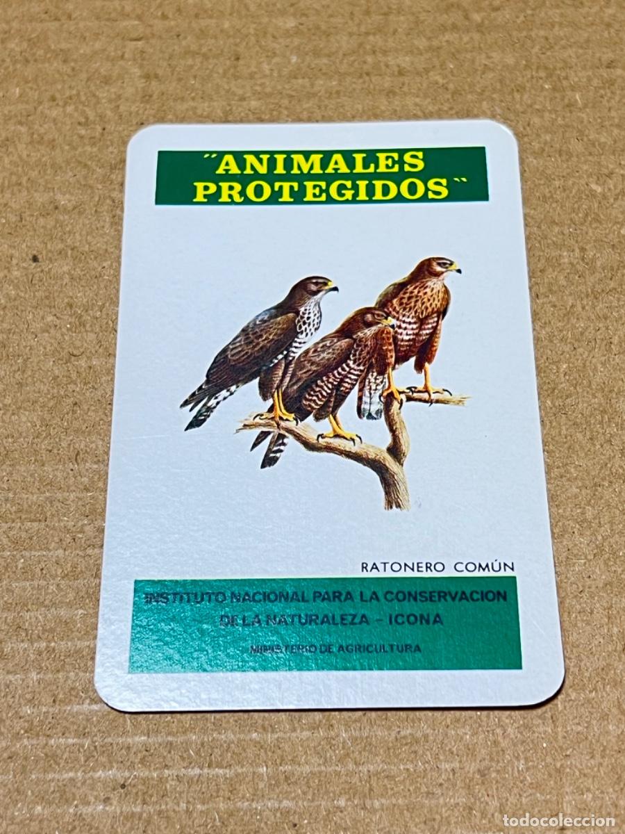 Coleccionismo calendarios: Calendario de bolsillo FOURNIER 1974