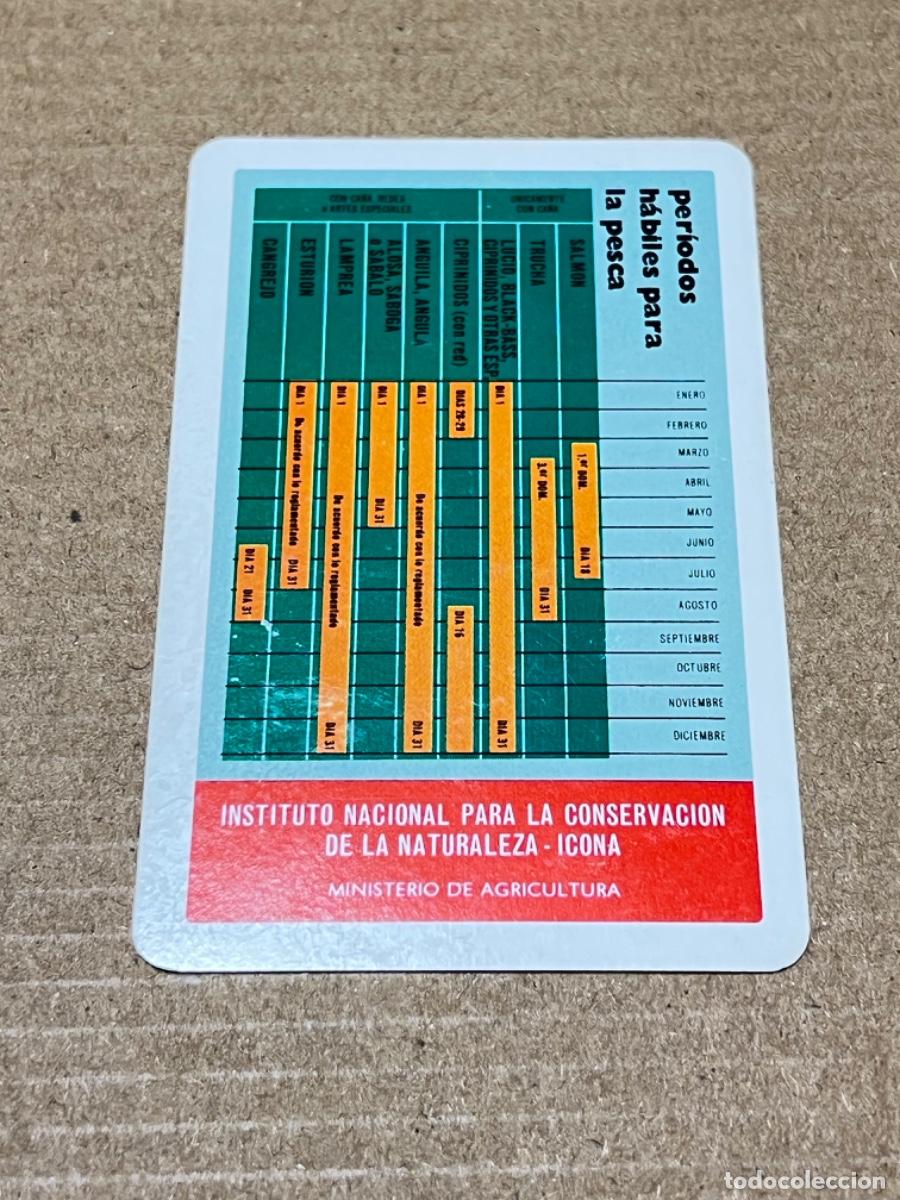 Coleccionismo calendarios: Calendario de bolsillo FOURNIER 1979