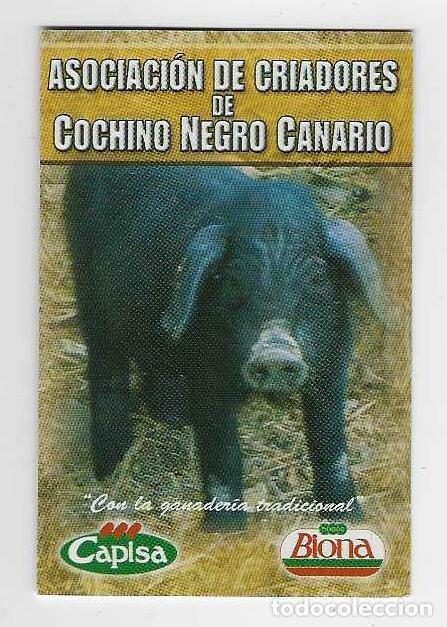 Coleccionismo calendarios: CALENDARIO DE BOLSILLO A&Ntilde;O 2007 ANIMALES - COCHINO NEGRO CANARIO - VER FOTO REVERSO