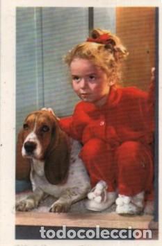 Coleccionismo calendarios: CALENDARIO NI&Ntilde;A Y PERRO A&Ntilde;O 1969 CAL-11235