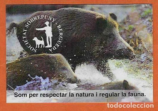 Coleccionismo calendarios: CALENDARIO BOLSILLO A&Ntilde;O 2013 FAUNA - JABAL&Iacute;S - ASOCIACI&Oacute;N - BERGUED&Aacute; - VER FOTO REVERSO