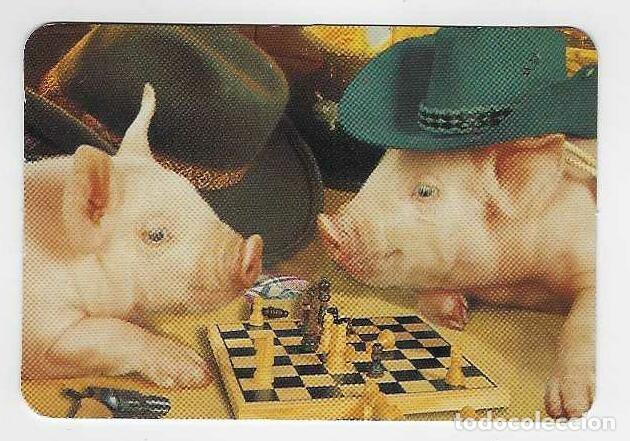 Coleccionismo calendarios: CALENDARIO BOLSILLO DE SERIE A&Ntilde;O 2006 CERDOS JUGANDO AL AJEDREZ - CON PUBLICIDAD - VER FOTO REVERSO