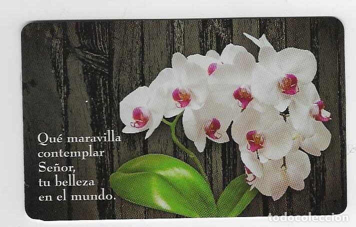 Coleccionismo calendarios: CALENDARIO BOLSILLO A&Ntilde;O 2020 FLORA / FLORES - ORQUIDEAS - EDICIONES PAULINAS - VER FOTO REVERSO
