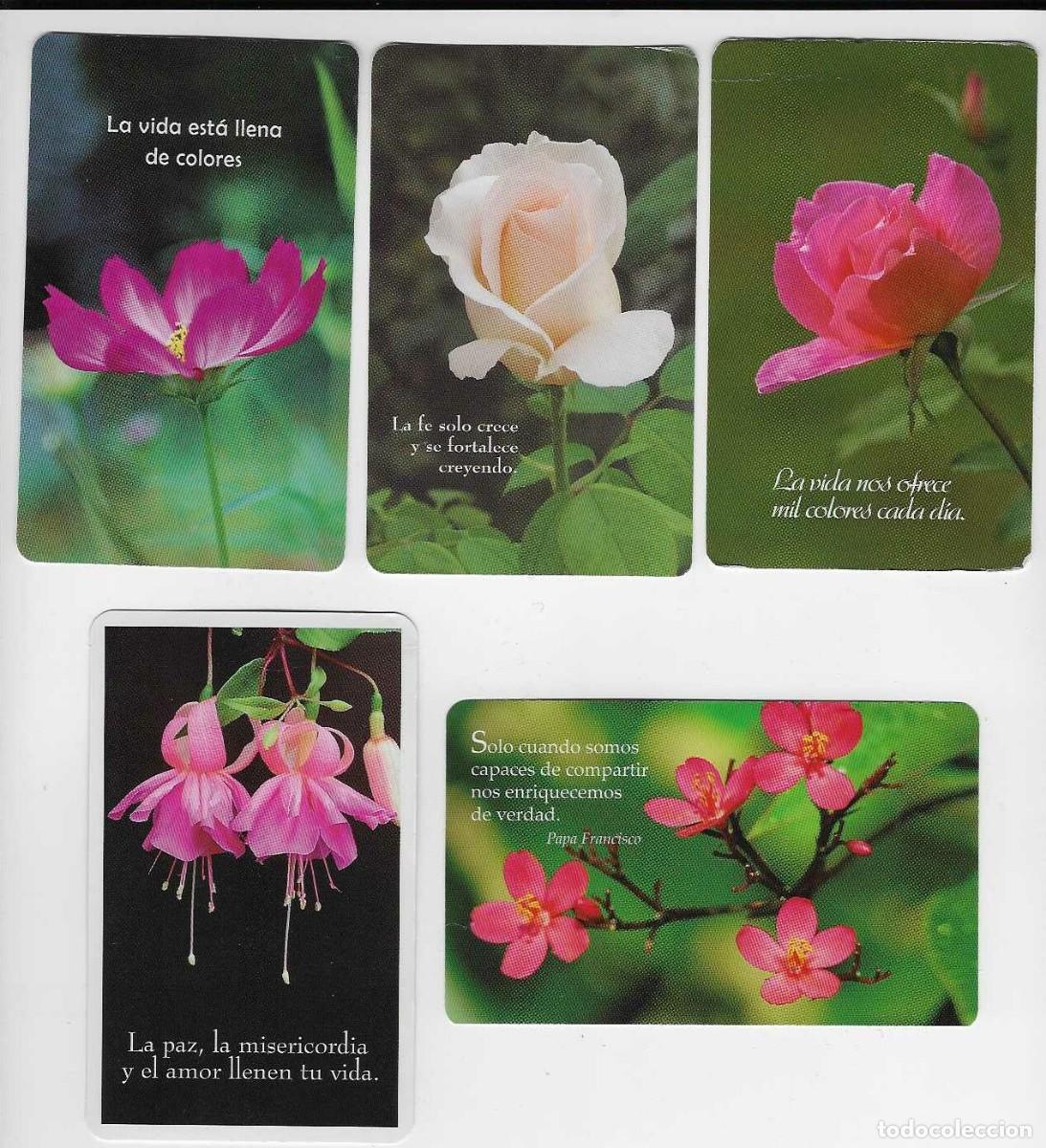 Coleccionismo calendarios: 5 CALENDARIOS BOLSILLO A&Ntilde;OS 2011 - 2019 FLORA / FLORES - EDICIONES PAULINAS - VER FOTO REVERSOS
