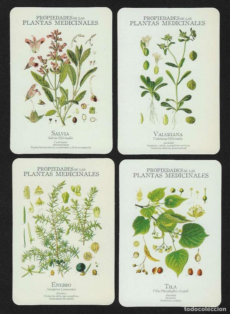 Coleccionismo calendarios: 8 CALENDARIOS BOLSILLO A&Ntilde;OS 2006 - 2009 FLORA / FLORES - PLANTAS MEDICINALES - VER FOTO REVERSOS