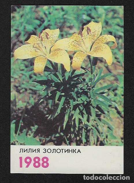 Coleccionismo calendarios: CALENDARIO DE BOLSILLO DE RUSIA A&Ntilde;O 1988 FLORA / FLORES - VER FOTO REVERSO