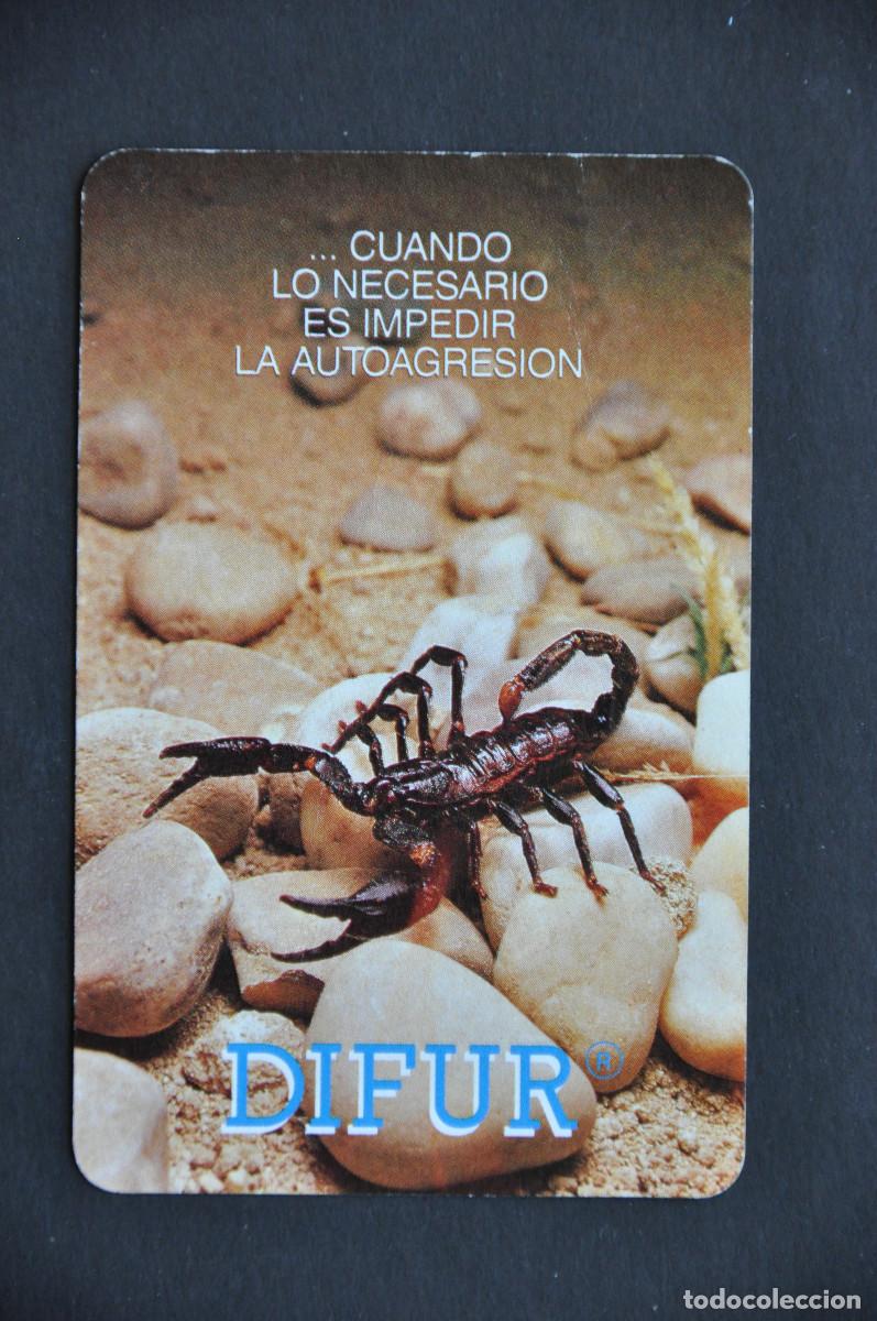 Collectionnisme Calendriers: CALENDARIO FOURNIER - DIFUR 1991