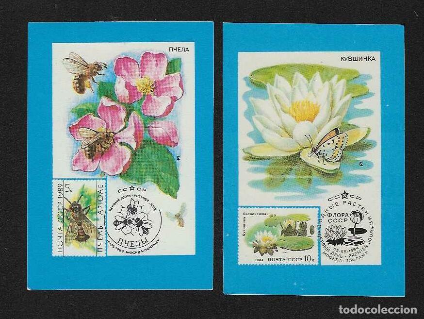 Coleccionismo calendarios: 2 CALENDARIOS DE BOLSILLO DE RUSIA DEL A&Ntilde;O 1991 FAUNA - ABEJAS Y MARIPOSA - VER FOTO REVERSOS
