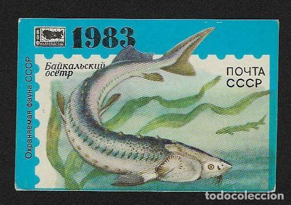 Coleccionismo calendarios: CALENDARIO DE BOLSILLO DE RUSIA DEL A&Ntilde;O 1983 FAUNA MARINA - PECES - VER FOTO REVERSO
