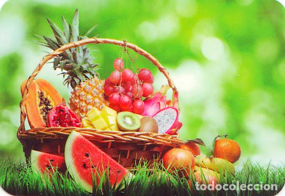 Colecionismo Calend&aacute;rios: Calendario de bolsillo 2021 EDIJAR 645