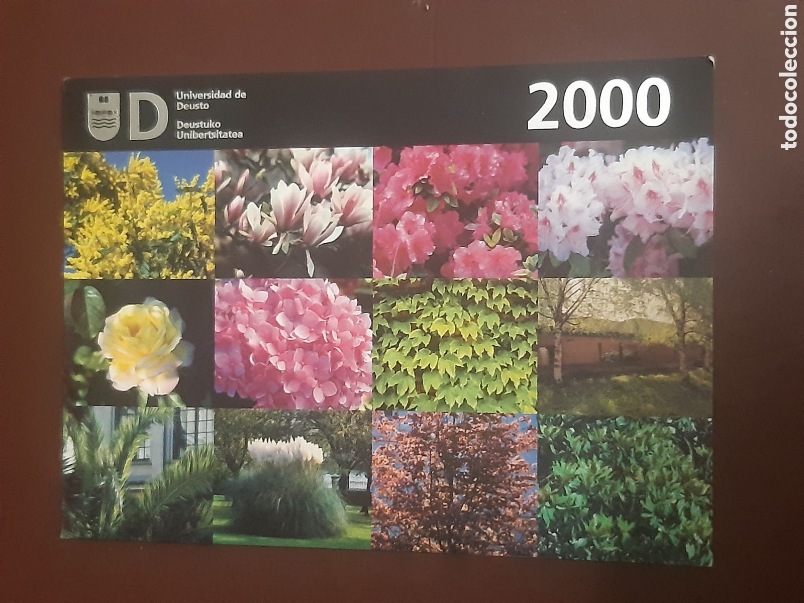 Coleccionismo calendarios: Calendario Universidad de Deusto 2000