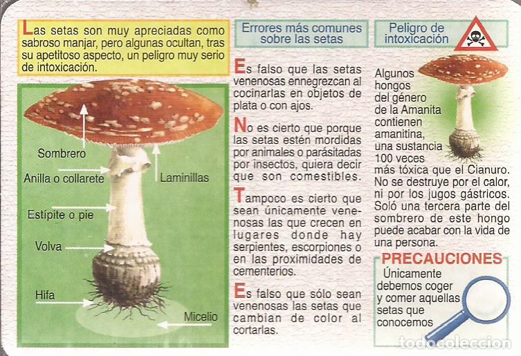 Coleccionismo calendarios: CALENDARIO SERIE A&Ntilde;O 2005 SERIE L. 268