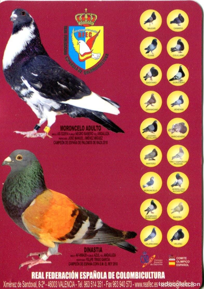 Coleccionismo calendarios: Calendario bolsillo - A&Ntilde;O 2011 - REAL FEDERACI&Oacute;N ESPA&Ntilde;OLA DE COLOMBICULTURA - PALOMAS