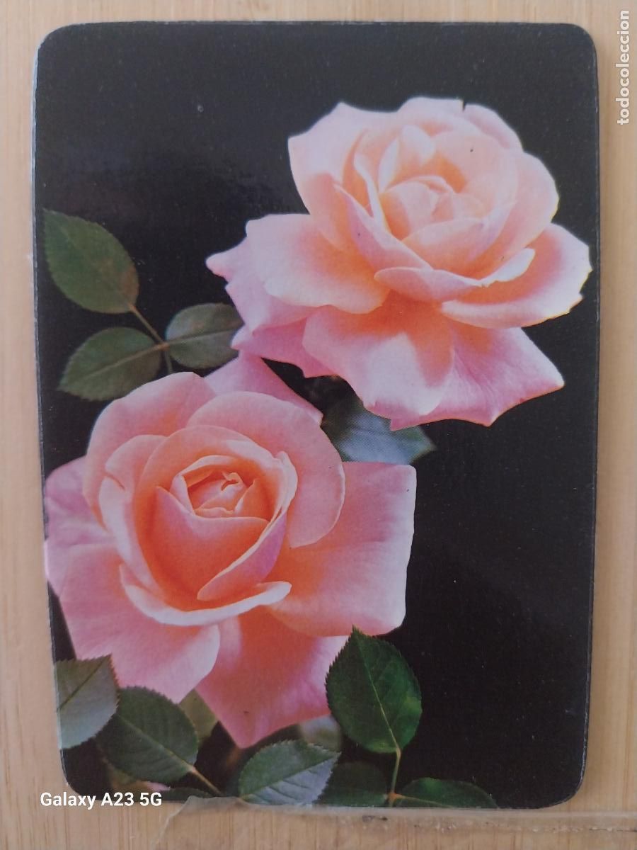 Coleccionismo calendarios: ROSAS CALENDARIO 1994 PROMOCIONAL DECORACION FRUTOS VALLECAS
