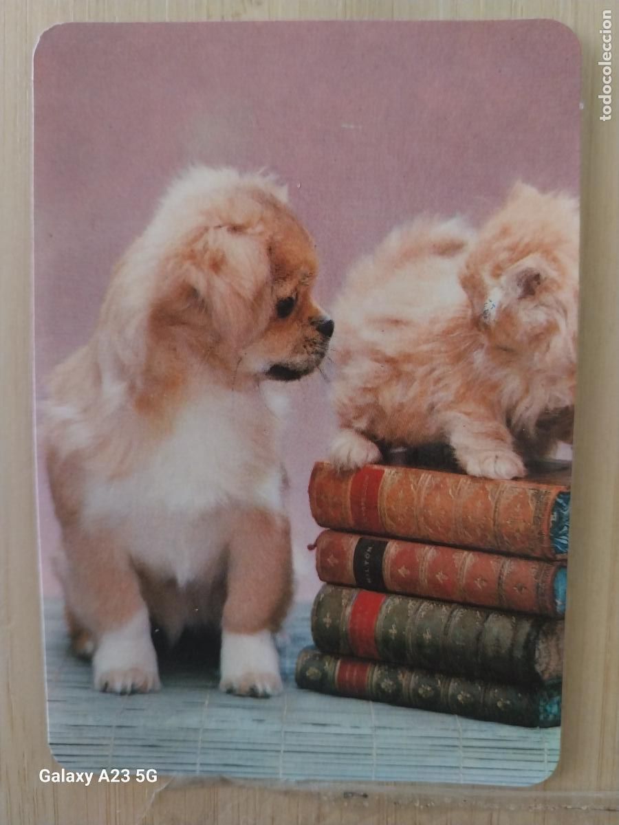 Coleccionismo calendarios: CACHORROS PERRO GATO CALENDARIO 1984 PROMOCIONAL CALZADOS LA VALENCIANA AV SAN DIEGO