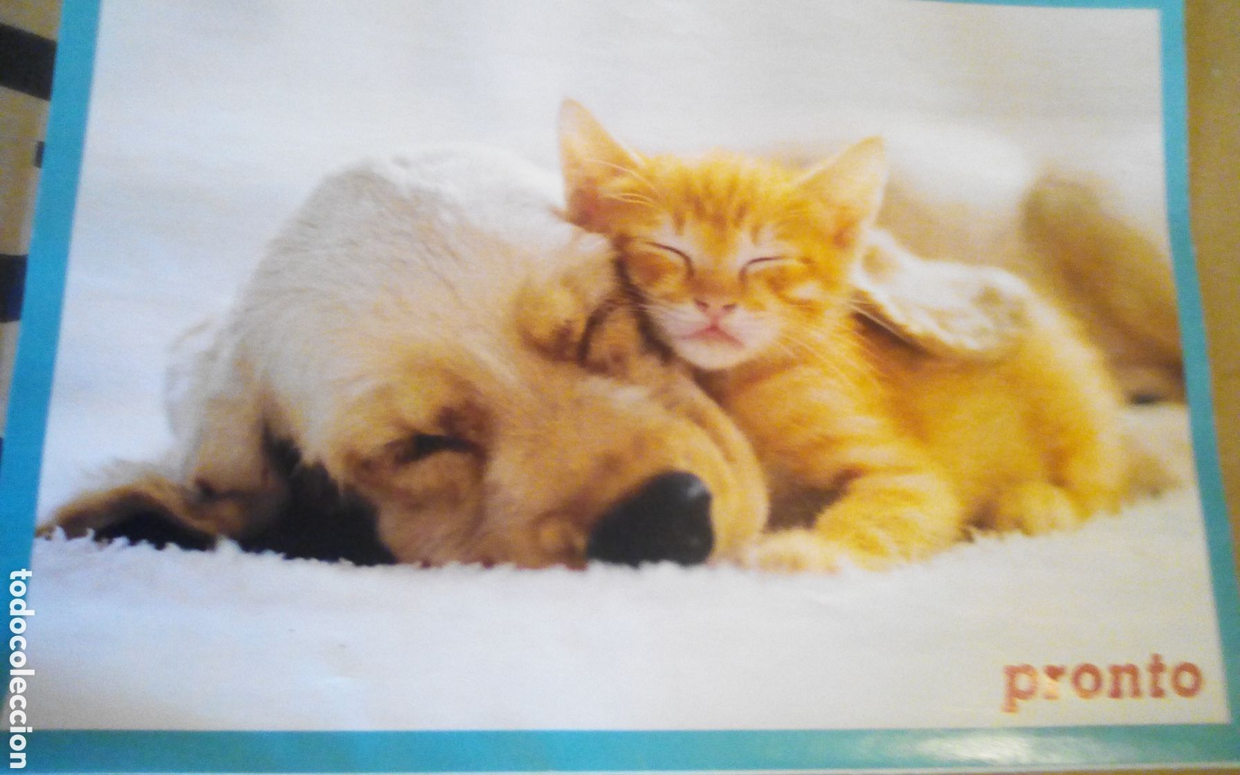 Coleccionismo calendarios: Calendario pronto 2025. Fotos divertidas de animales.