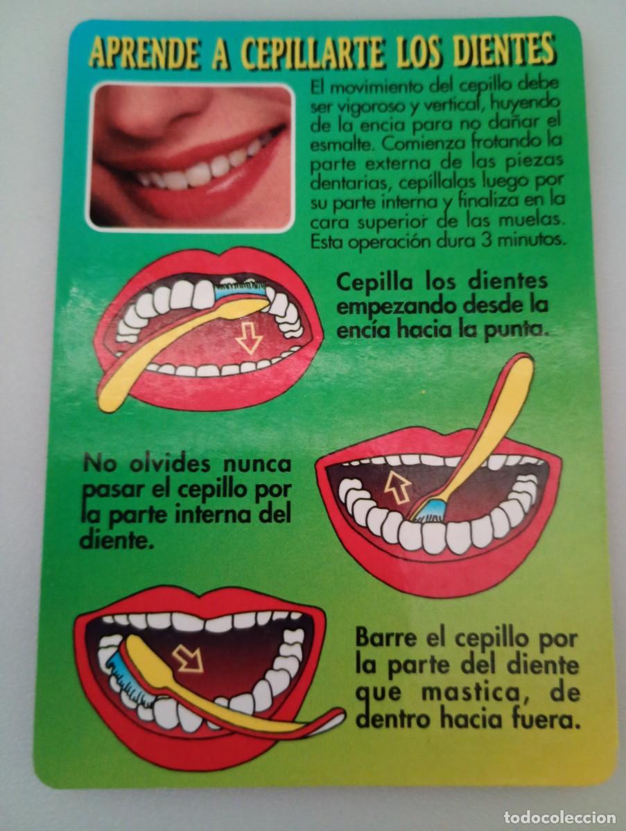 Coleccionismo calendarios: Calendario 1997 Serie WCB 348 Informativo Aprende a cepillarte los dientes