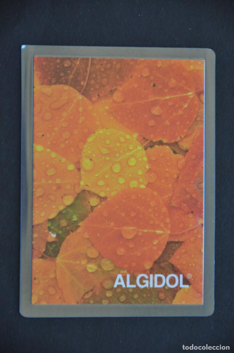 Coleccionismo calendarios: CALENDARIO PLASTIFICADO 2002 - ALGIDOL