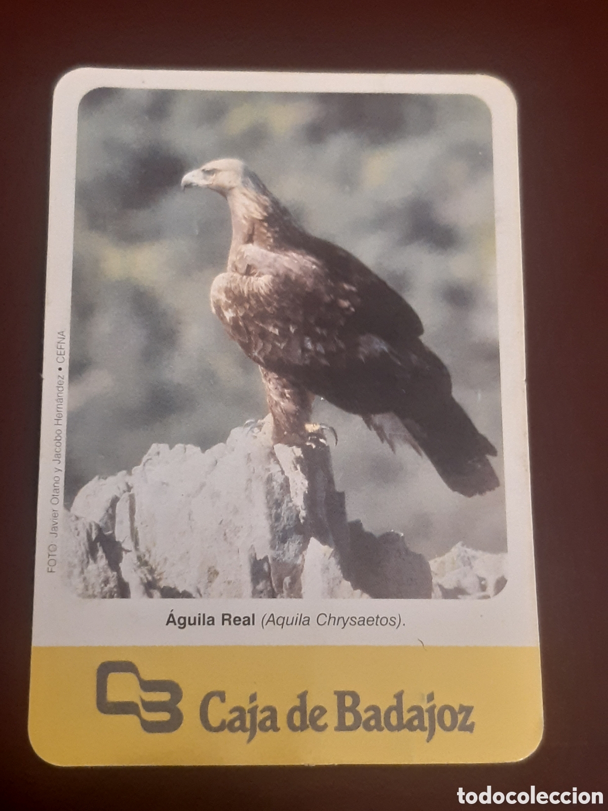 Coleccionismo calendarios: Calendario Caja Badajoz 1998