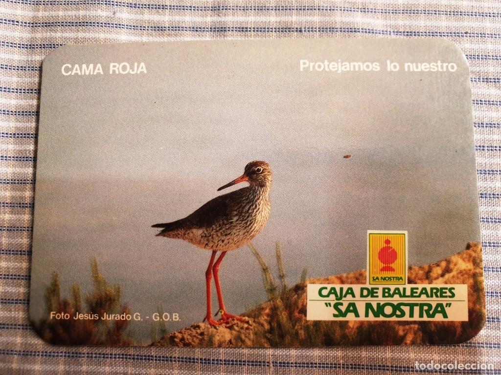 Collezionismo Calendari: Calendario Caja de Baleares Sa Nostra. Cama Roja. A&ntilde;o 1985. Serie Aves. Estado ver imagen