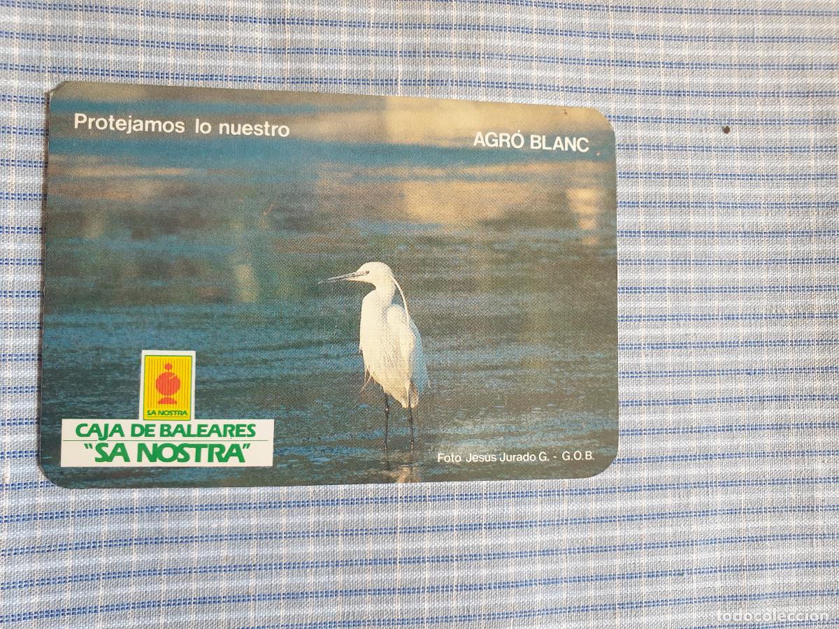 Collezionismo Calendari: Calendario Caja de Baleares Sa Nostra. Agr&oacute; blanc. A&ntilde;o 1985. Serie Aves. Estado ver imagen