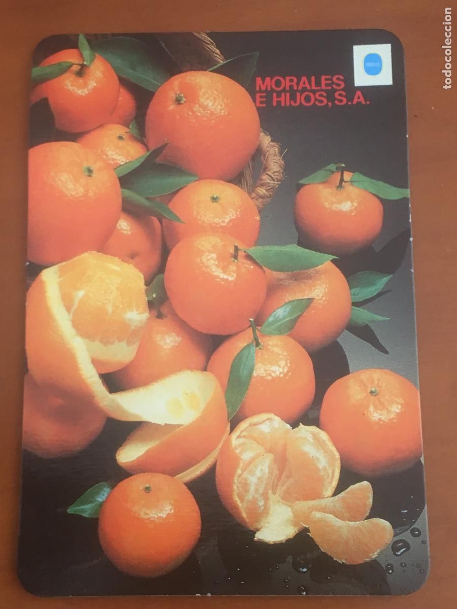 Collectables Calendars: morales e hijos 1993 calendario original