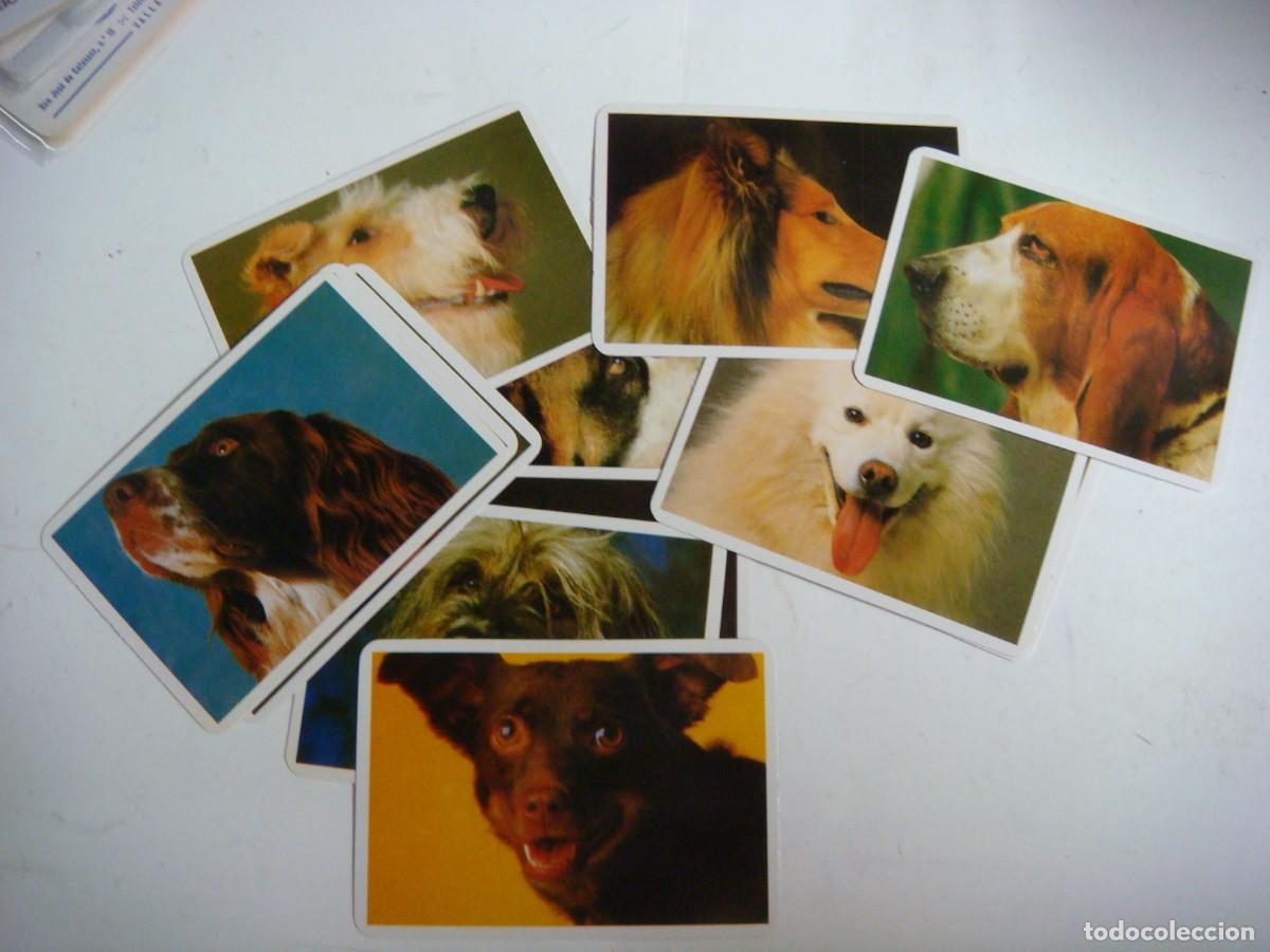 Collectables Calendars: CALENDARIOS DE BOLSILLO LOTE DE 12 CALENDARIOS DE PERROS-N&ordm;-59