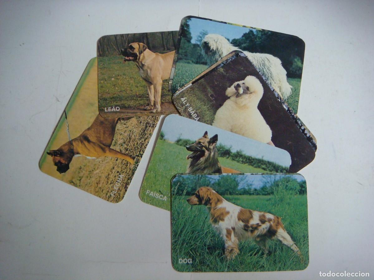 Collectables Calendars: CALENDARIOS DE BOLSILLO LOTE DE 11 CALENDARIOS DE PERROS-N&ordm;-60