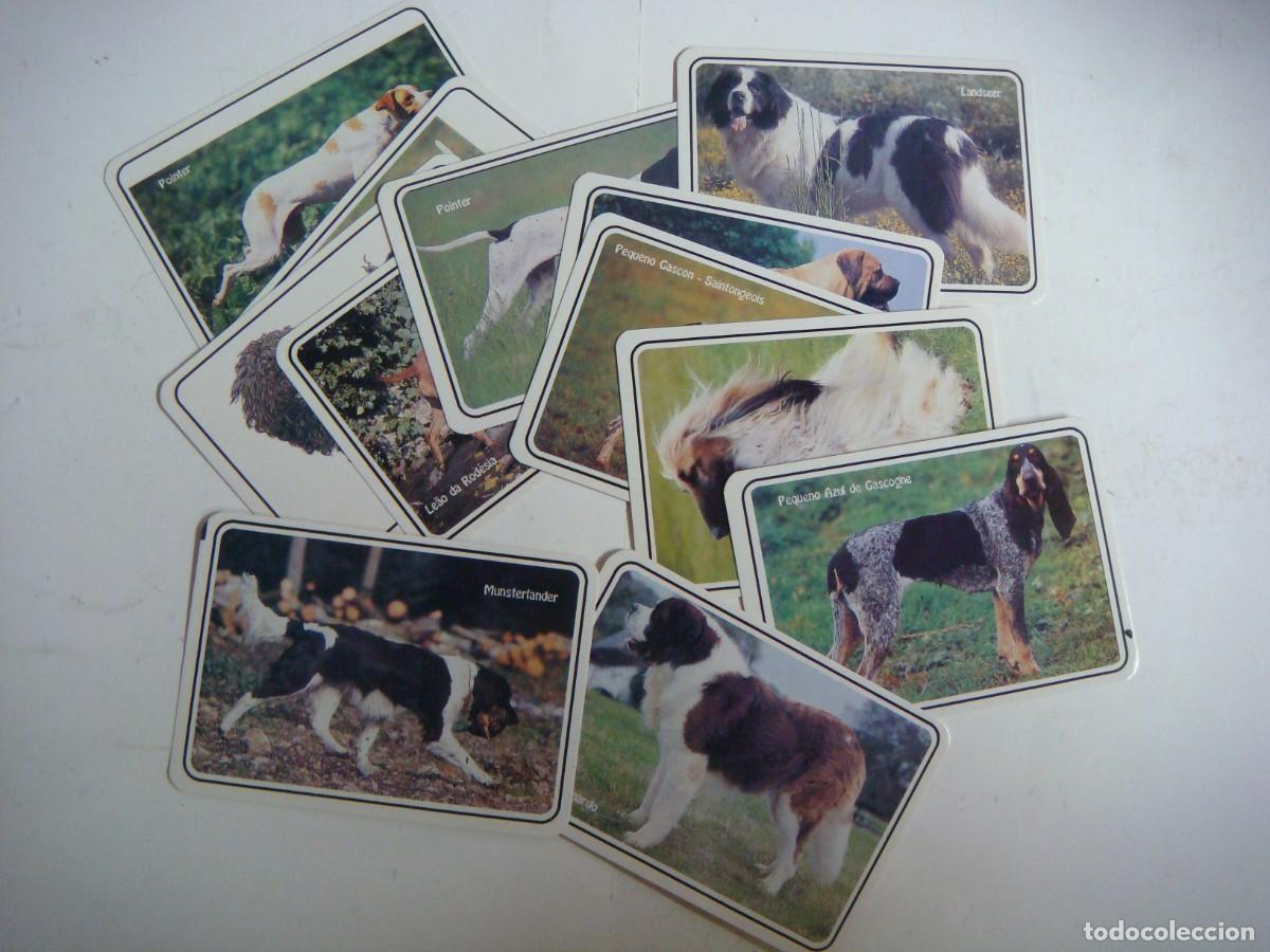 Coleccionismo calendarios: CALENDARIOS DE BOLSILLO LOTE DE 12 CALENDARIOS DE PERROS-N&ordm;-62