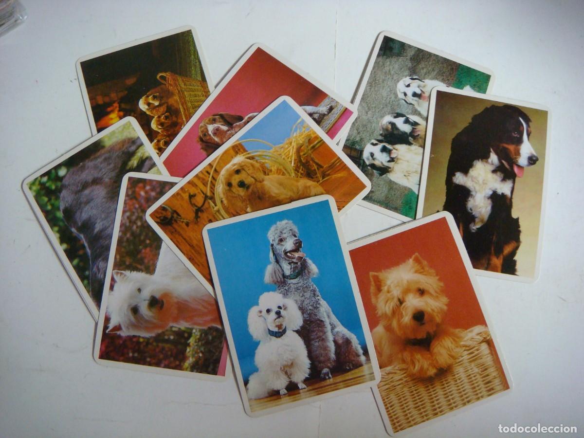 Coleccionismo calendarios: CALENDARIOS DE BOLSILLO LOTE DE 12 CALENDARIOS DE PERROS-N&ordm;-63
