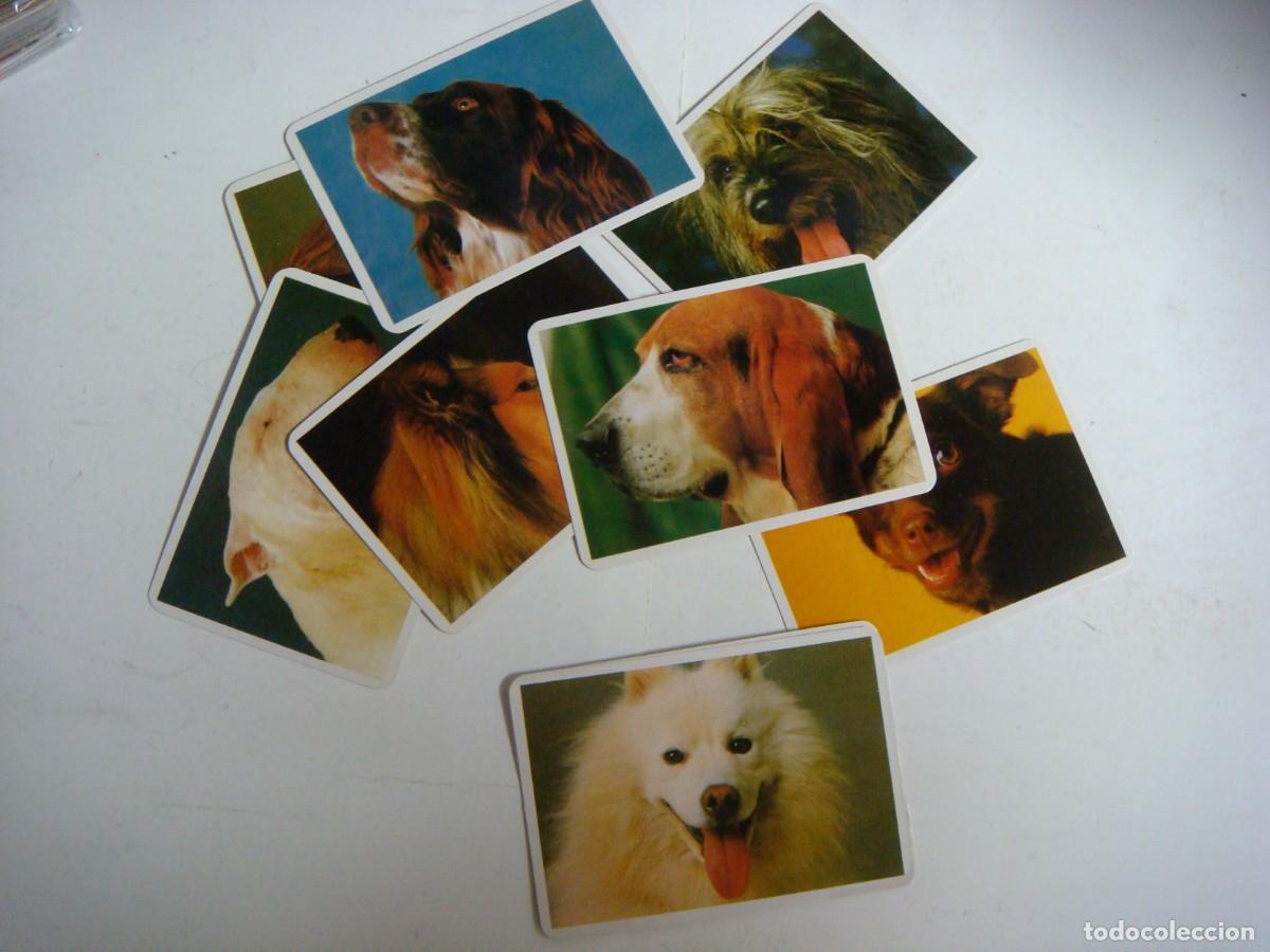 Coleccionismo calendarios: CALENDARIOS DE BOLSILLO LOTE DE 12 CALENDARIOS DE PERROS-N&ordm;-65